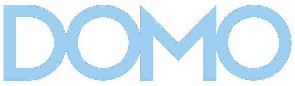 Domo Business Intelligence Services